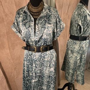 Snake Print Dress